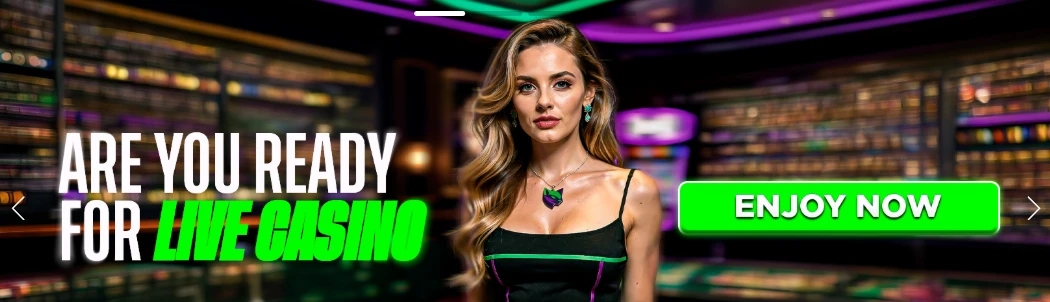 Promotional Banner